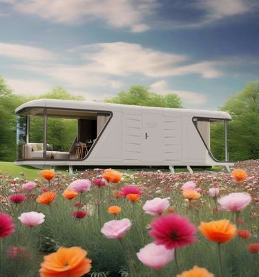 Dobra cena. Dostosowywalny dom kapsuły kosmicznej Unikalny projekt Różne zastosowania Wnętrze Rendering Obraz wliczony w Internecie